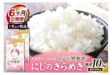 【6ヶ月定期便】 群馬県千代田町産 にじのきらめき 10kg(5kg×2袋) (精米) 【1月発送開始】