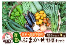 自然栽培 春夏 季節のお任せ野菜セット Mサイズ