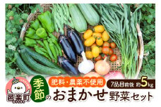 自然栽培 春夏 季節のお任せ野菜セット Lサイズ