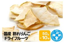 国産 割れりんご 50g×10袋