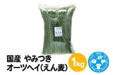 国産 やみつきオーツヘイ（えん麦）1kg