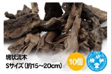 塊状流木 Sサイズ（約15～20cm）10個