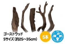 ゴーストウッド Sサイズ（約25～35cm）5本
