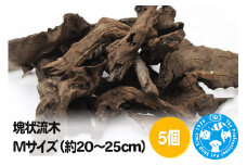 塊状流木 Mサイズ（約20～25cm）5個