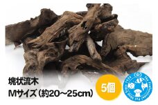 塊状流木 Mサイズ（約20～25cm）5個