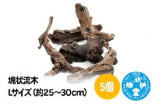 塊状流木 Lサイズ（約25～30cm）5個