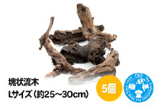 塊状流木 Lサイズ（約25～30cm）5個