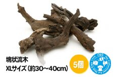 塊状流木 XLサイズ（約30～40cm）5個