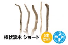 棒状流木 ショート 5本セット