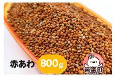 赤あわ 800g×1袋 サイトウ・コーポレーション 飼料