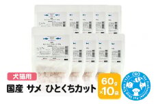 国産 サメ ひとくちカット 60g×10袋