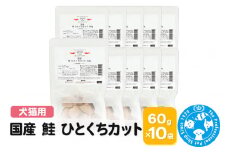 国産 鮭 ひとくちカット 60g×10袋