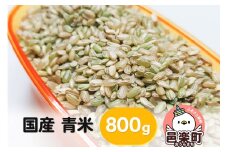 【国産】青米 800g×1袋 サイトウ・コーポレーション 飼料