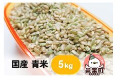 【国産】青米 5kg×1袋 サイトウ・コーポレーション 飼料