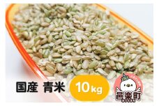 【国産】青米 10kg×1袋 サイトウ・コーポレーション 飼料