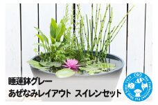 睡蓮鉢グレー あぜなみレイアウト スイレンセット