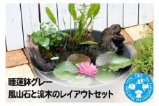 睡蓮鉢グレー 風山石と流木のレイアウトセット