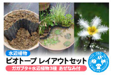 水辺植物 ビオトープレイアウトセット（ガガブタ+水辺植物3種 あぜなみ付）