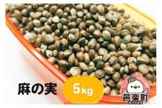 麻の実 5kg サイトウ・コーポレーション 飼料