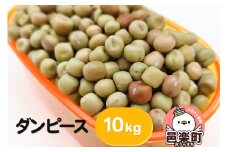 ダンピース 10kg サイトウ・コーポレーション 飼料