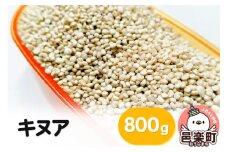 キヌア 800g×1袋 サイトウ・コーポレーション 飼料
