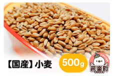 【国産】小麦 500g×1袋 サイトウ・コーポレーション 飼料