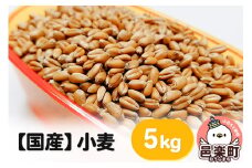 【国産】小麦 5kg×1袋 サイトウ・コーポレーション 飼料