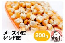 メーズ小粒(インド産) 800g×1袋 サイトウ・コーポレーション 飼料