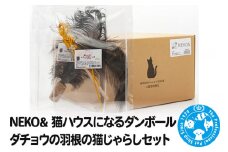 NEKO& 猫ハウスになるダンボール ダチョウの羽根の猫じゃらしセット