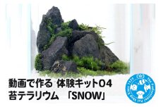 動画で作る 体験キット04 苔テラリウム 「SNOW」