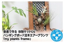 動画で作る 体験キット05 ハンギングボード流木エアープランツ「my plants frame」