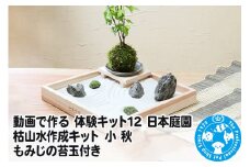 動画で作る 体験キット12 日本庭園 枯山水作成キット 小 秋 もみじの苔玉付き