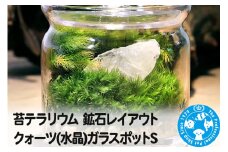 苔テラリウム 鉱石レイアウト クォーツ(水晶)ガラスポットS 説明書付