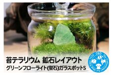 苔テラリウム 鉱石レイアウト グリーンフローライト(蛍石)ガラスポットS 説明書付