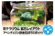 苔テラリウム 鉱石レイアウト アベンチュリン(砂金石)ガラスポットS 説明書付