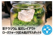 苔テラリウム 鉱石レイアウト ローズクォーツ(紅水晶)ガラスポットS 説明書付