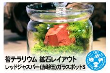 苔テラリウム 鉱石レイアウト レッドジャスパー(赤碧玉)ガラスポットS 説明書付