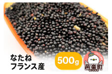 なたね フランス産 500g×1袋 サイトウ・コーポレーション 飼料