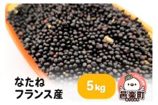 なたね フランス産 5kg×1袋 サイトウ・コーポレーション 飼料