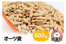 オーツ麦 500g×1袋 サイトウ・コーポレーション 飼料