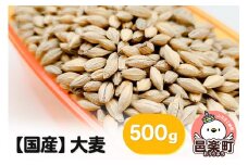 【国産】大麦 500g×1袋 サイトウ・コーポレーション 飼料