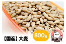 【国産】大麦 800g×1袋 サイトウ・コーポレーション 飼料