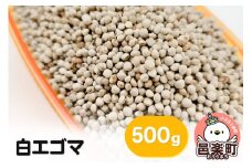 白エゴマ 500g×1袋 サイトウ・コーポレーション 飼料