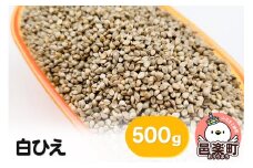 白ひえ 玄ひえ 500g×1袋 サイトウ・コーポレーション 飼料