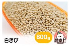 白きび 800g×1袋 サイトウ・コーポレーション 飼料