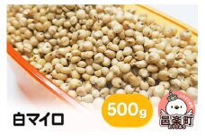 白マイロ 500g×1袋 サイトウ・コーポレーション 飼料