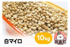 白マイロ 10kg×1袋 サイトウ・コーポレーション 飼料