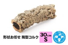 形状お任せ 筒型コルク Sサイズ 長さ30cm エアプランツ 着生植物