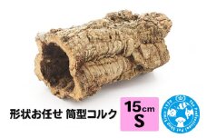 形状お任せ 筒型コルク Sサイズ 長さ15cm エアプランツ 着生植物