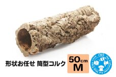 形状お任せ 筒型コルク Mサイズ 長さ50cm エアプランツ 着生植物